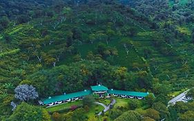 Hotel Finca Lerida Coffee Plantation And Boutique Hotel