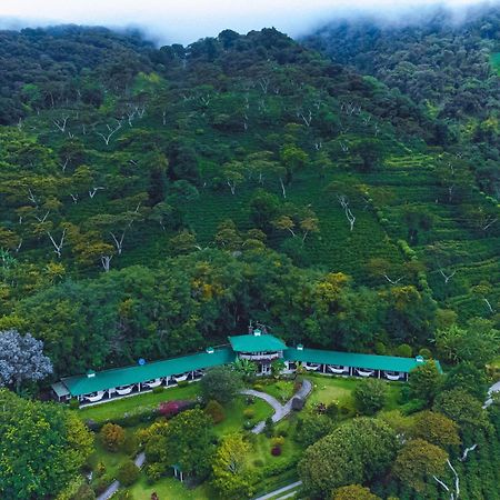 Hotel Finca Lerida Coffee Plantation And Boutique Hotel Boquete Exterior photo