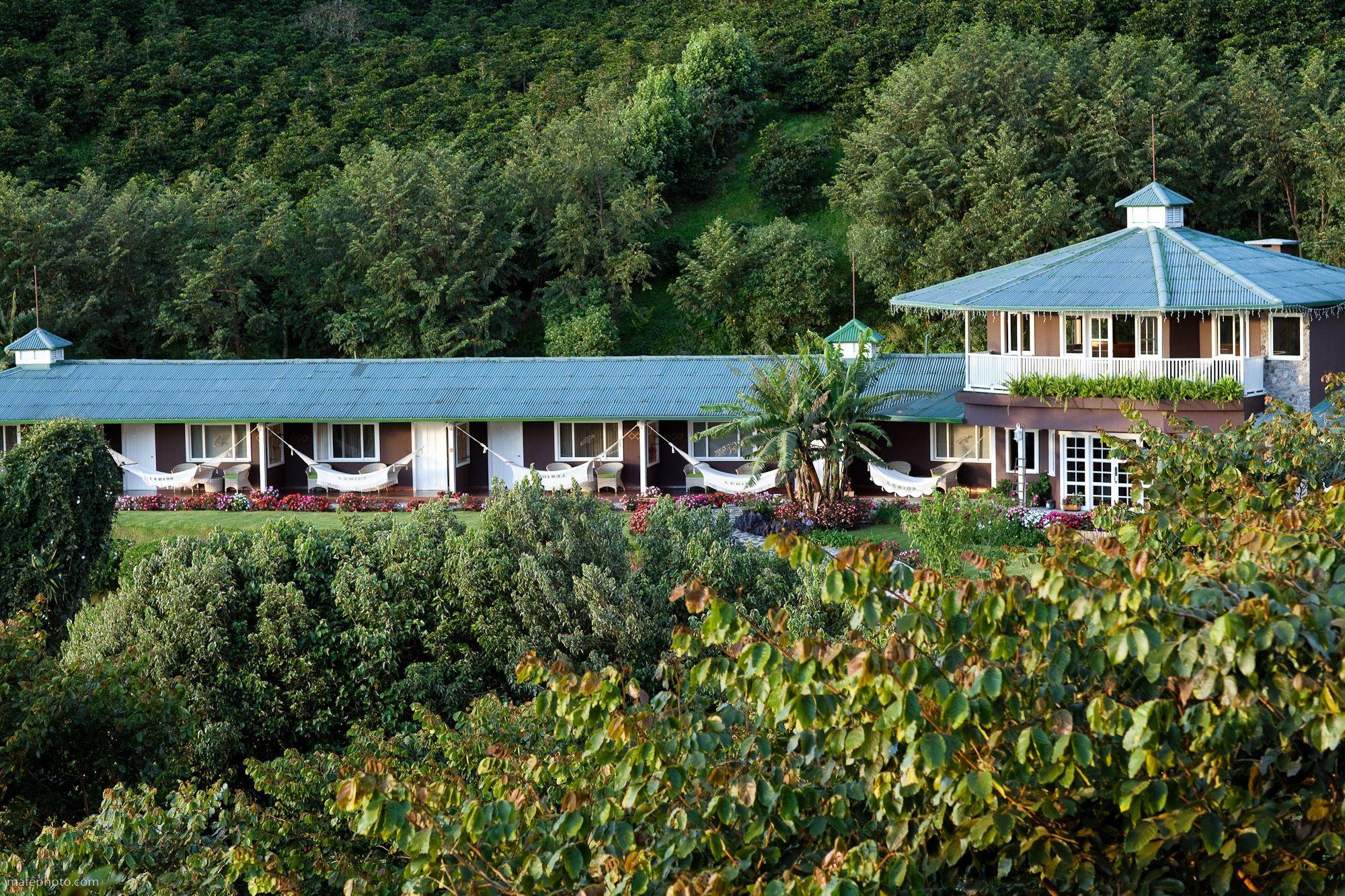 Hotel Finca Lerida Coffee Plantation And Boutique Hotel Boquete Exterior photo