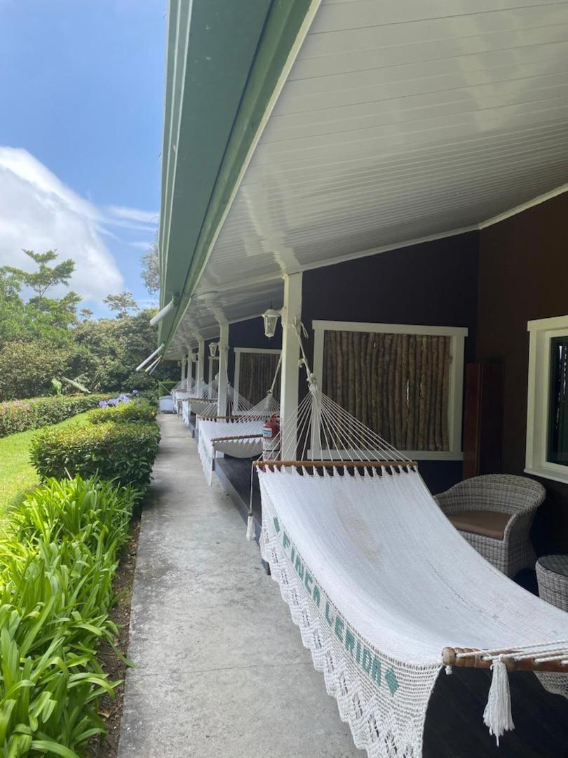 Hotel Finca Lerida Coffee Plantation And Boutique Hotel Boquete Exterior photo