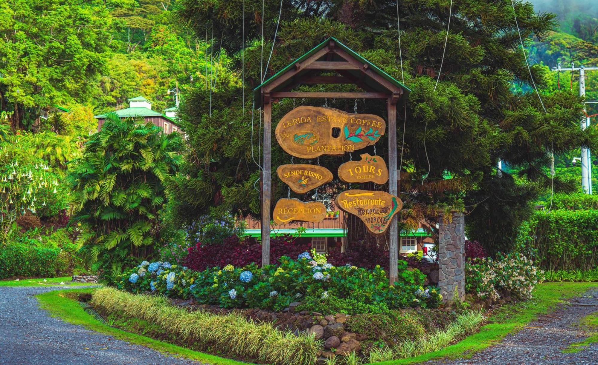 Hotel Finca Lerida Coffee Plantation And Boutique Hotel Boquete Exterior photo